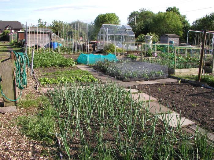 Schrebergarten gestalten