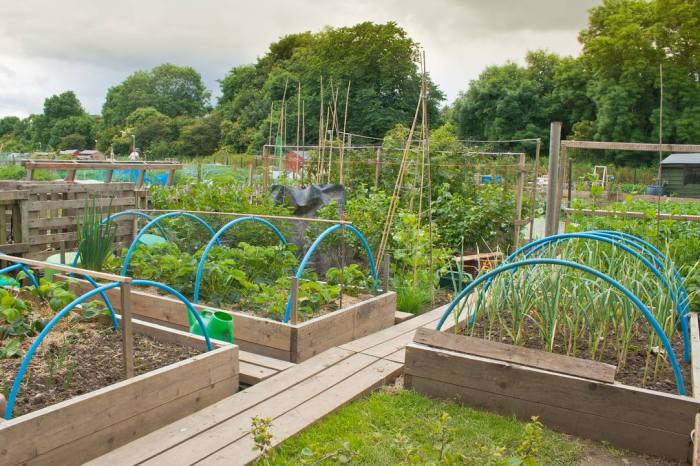 Schrebergarten gestalten